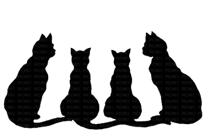 minou-cats - PNG gratuit
