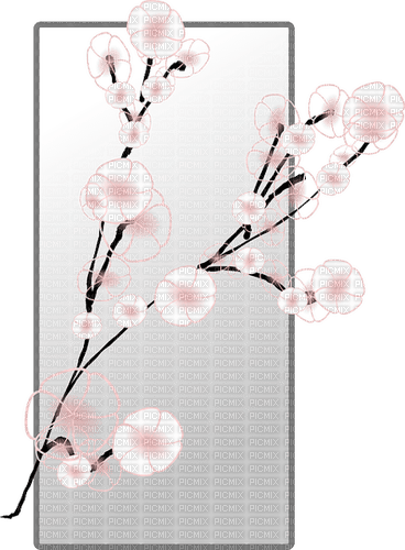 Cherry Blossom   Bb2 - nemokama png