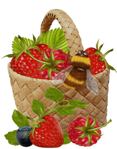Früchtekorb mit Biene - PNG gratuit