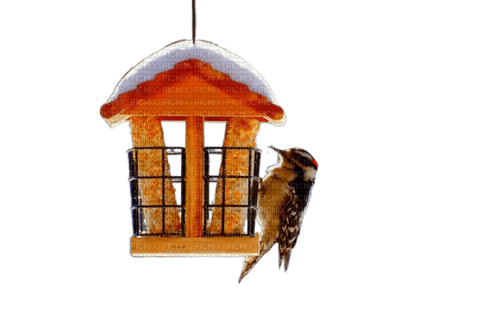 Кормушка для  птиц - PNG gratuit