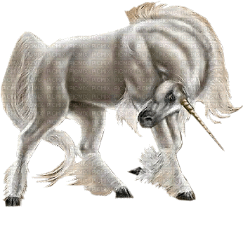 unicorn - Бесплатный анимированный гифка