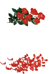roses red Nitsa P - Бесплатни анимирани ГИФ