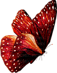 Kaz_Creations Butterfly - 無料png
