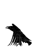 OISEAU - Darmowy animowany GIF