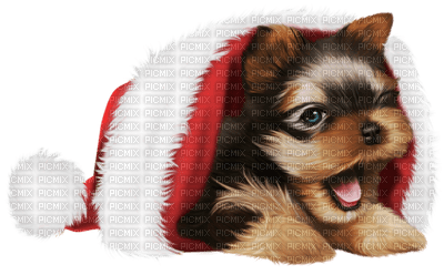 Kaz_Creations Christmas Dog Pup Dogs Colours - png gratis