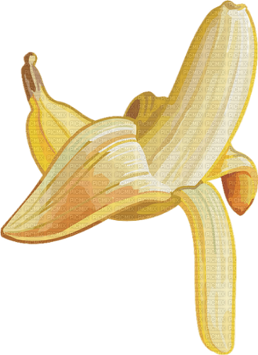 Fruit. Bananas. Leila - Free PNG