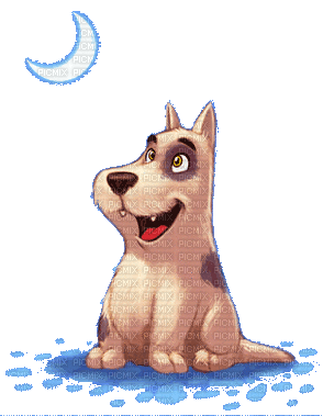 dog chien hund animal tube hunde dogs chiens animals animaux mignon gif anime animated animation fun - GIF animé gratuit