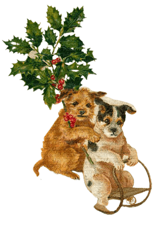 kikkapink dog vintage christmas - ücretsiz png