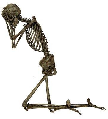 skeleton katrin - png ฟรี