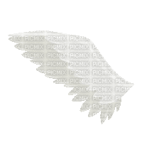 Wing - Bezmaksas animēts GIF