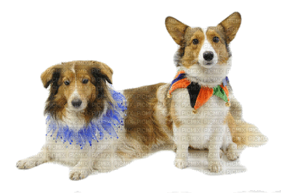 Kaz_Creations Dog Pup Dogs 🐶Costume - kostenlos png