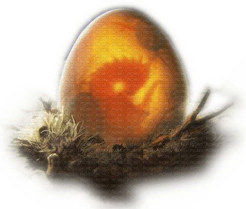 Rena Dragon Egg Drachenei Fantasy - Free PNG
