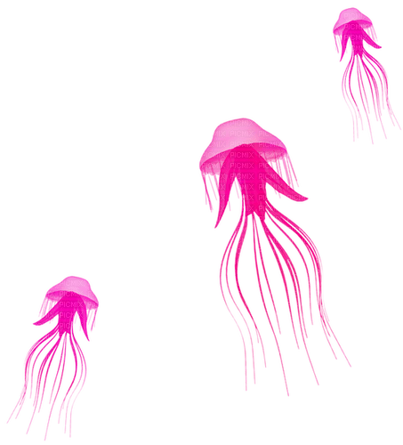 Jellyfish.Pink - nemokama png