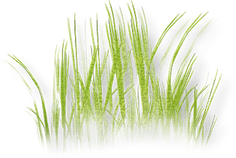 soave deco grass spring green - PNG gratuit