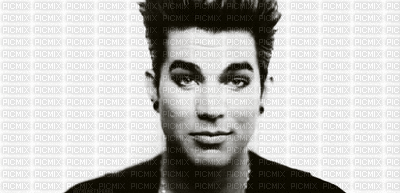 Kaz_Creations Adam Lambert Singer Music Animated - GIF เคลื่อนไหวฟรี