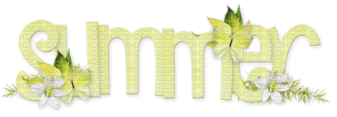 Summer.Text.yellow.green.Victoriabea - 免费PNG