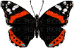 Papillon ** - Gratis geanimeerde GIF
