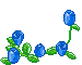Blue Roses - Nemokamas animacinis gif