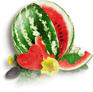 soave deco summer watermelon green red - безплатен png