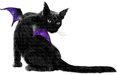 soave deco cat animals gothic halloween - Free PNG