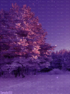 Winter - Gratis geanimeerde GIF