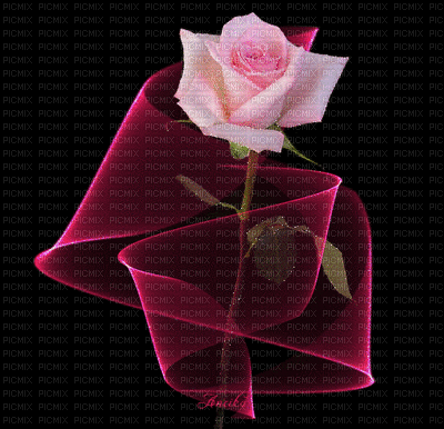 rose - GIF เคลื่อนไหวฟรี