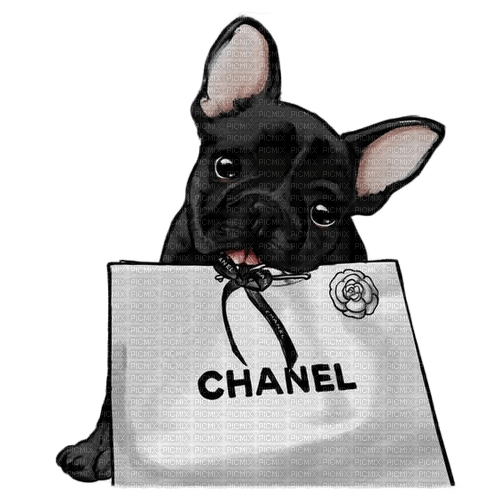 chien coco chanel - δωρεάν png