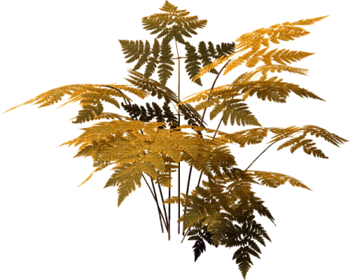 Planta de otoño - gratis png