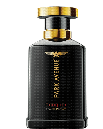Perfume Gold Black - Bogusia - png ฟรี