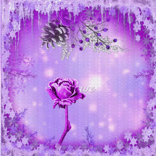 JE  / BG/animated.winter.rose.snow.purple.idca - Nemokamas animacinis gif