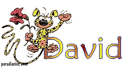 david - 免费动画 GIF