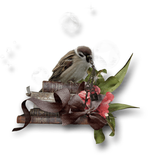 dolceluna spring deco book bird flower pink - PNG gratuit