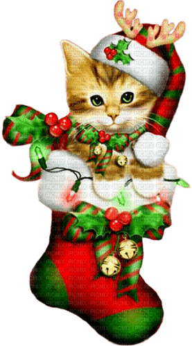 Christmas.Cat.Brown.Red.Green - KittyKatLuv65 - 免费PNG