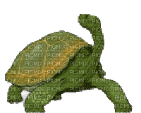 Roma - Ücretsiz animasyonlu GIF