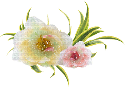 pink-yellow flowers-minou52 - Free PNG