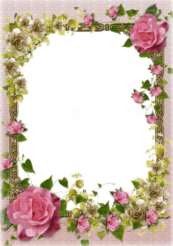 pink frame with roses - Free PNG