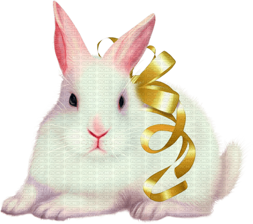 Bunny.Rabbit.White.Yellow - ücretsiz png