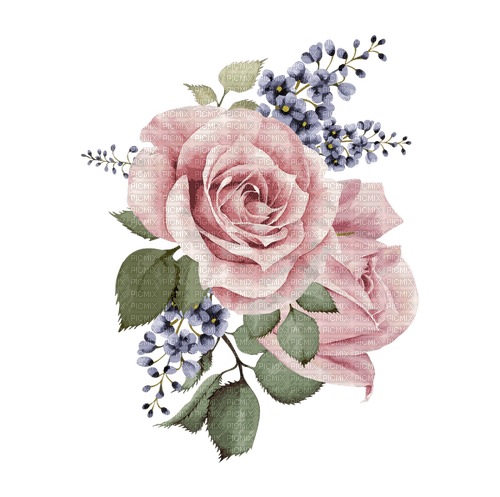 Flowers - 免费PNG