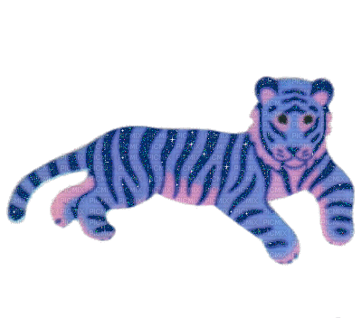 Sparkle tiger blue - Бесплатный анимированный гифка
