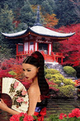geisha - Darmowy animowany GIF