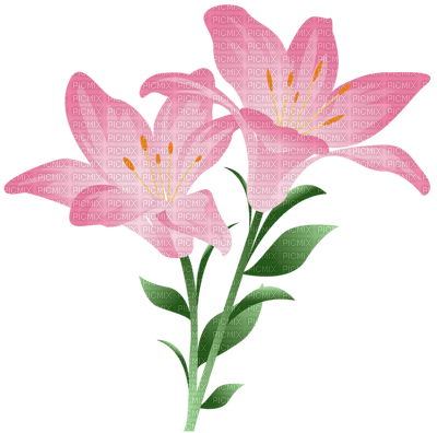 Kaz_Creations Flowers Deco Flower Colours - ingyenes png