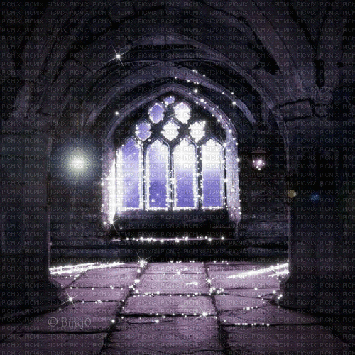 Y.A.M._Gothic Fantasy background Interior - Gratis animeret GIF