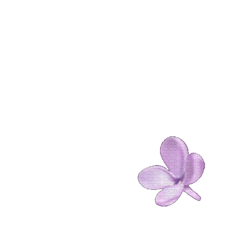 Lilac Blossom - GIF animasi gratis