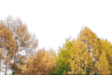 animated autumn - GIF animado gratis