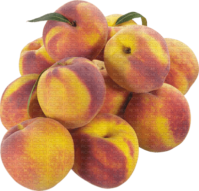 Tournesol94 fruit - nemokama png