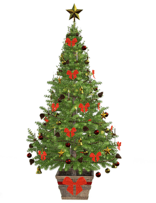 joulu, christmas - kostenlos png