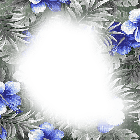 dolceluna tropical frame blue black white summer - 無料png
