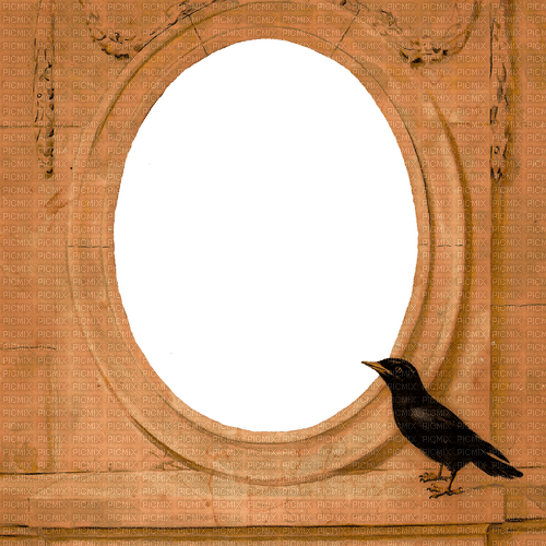 Frame Bird - darmowe png