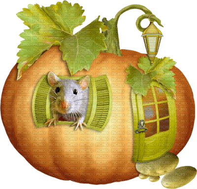 pumpkin katrin - бесплатно png