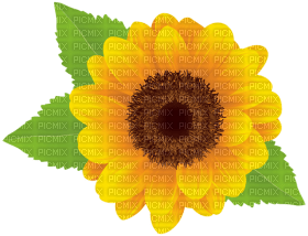 Kaz_Creations Deco Flowers Sunflower Flower - ücretsiz png